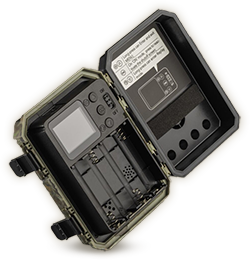 Wachman Mini Trail Camera Rückansicht mit Display und Bedienelementen