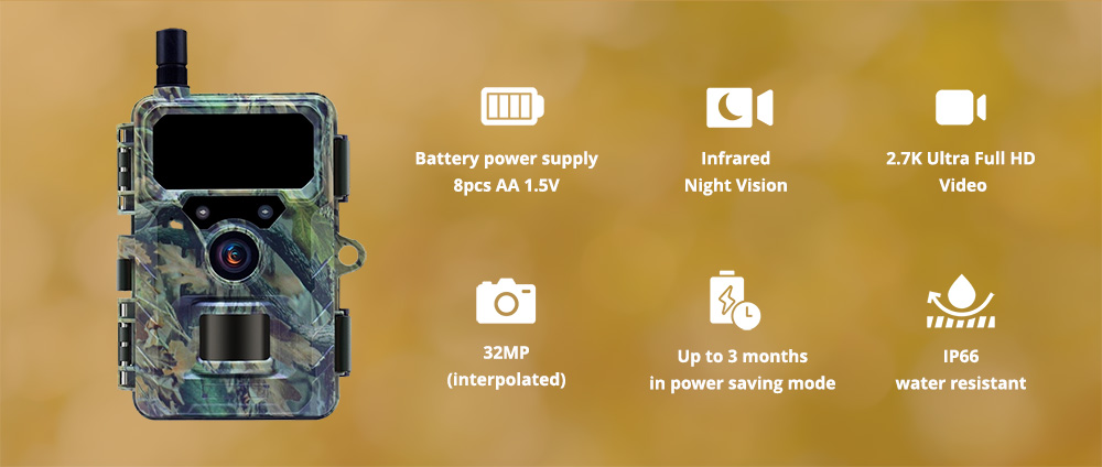 Wachman Discovery4G Kamera für die Überwachung von Wildtieren